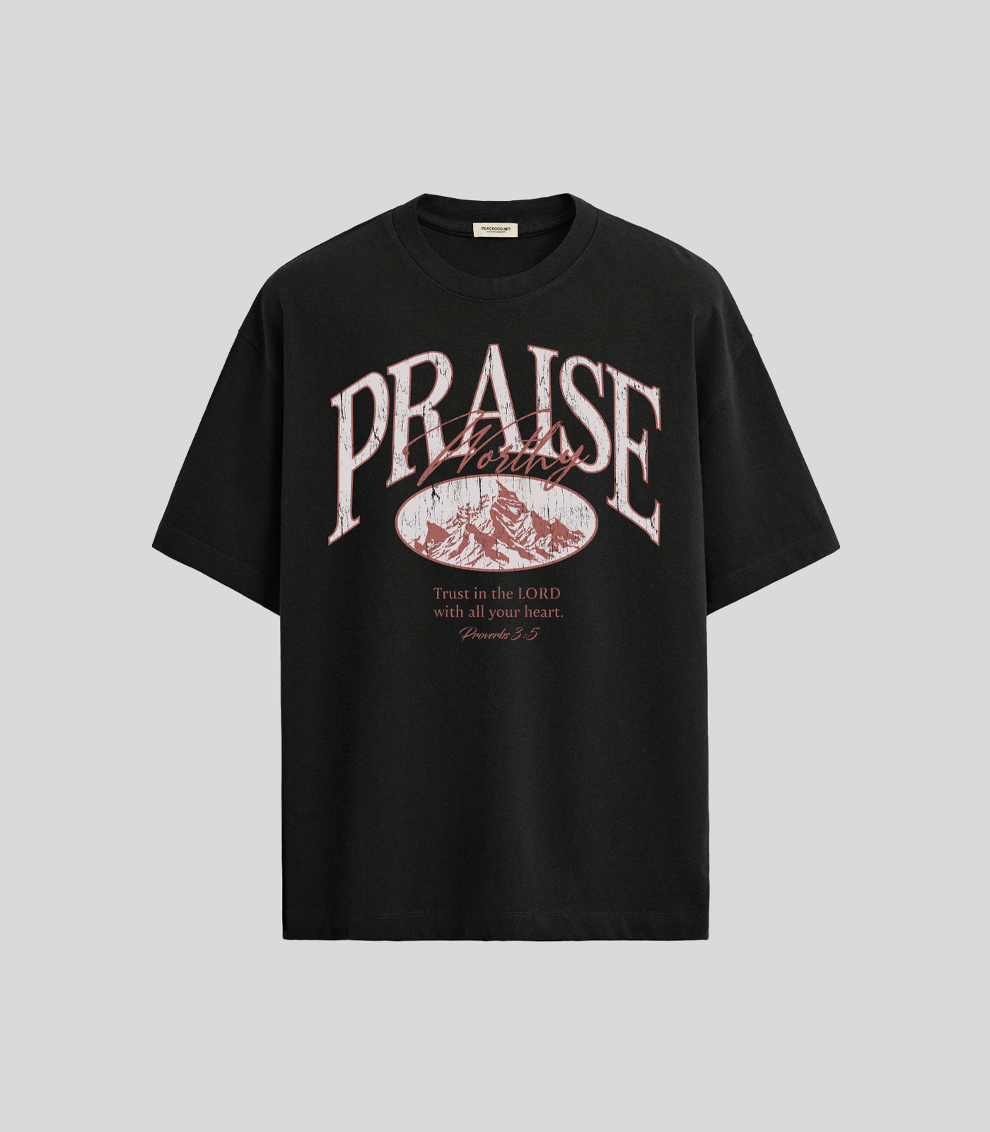 Praise Worthy T-Shirt